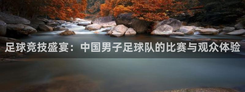足球竞技盛宴：中国男子足球队的比赛与观众体验
