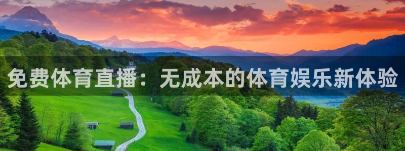 免费体育直播：无成本的体育娱乐新体验
