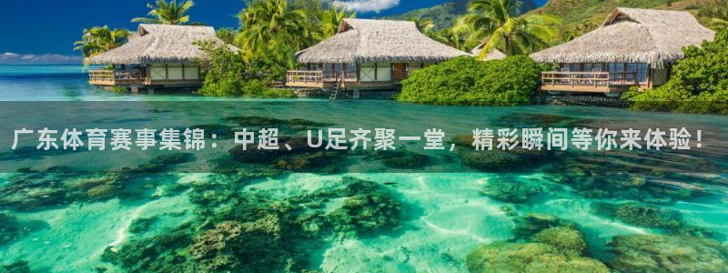 广东体育赛事集锦：中超、U足齐聚一堂，精彩瞬间等你来体验！